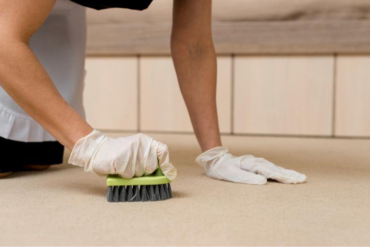 Why Spring Is the Best Time for Undertile Waterproofing in NZ
